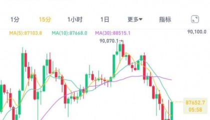 比特币摸高9万美元后,跳水!超26万人爆仓