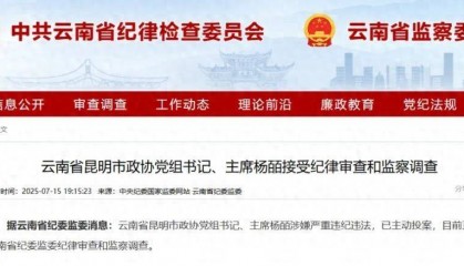 曾任昆明市副市长的她,主动投案