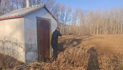 “砰”!内蒙古一地警方果断开枪击毙一失控“疯牛”!