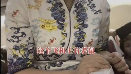 飞机上出现老鼠？海航长安航空最新回应