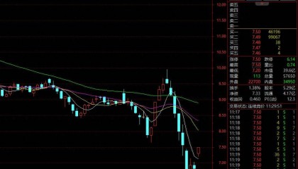 偏爱“炒股”的上市公司,加仓了