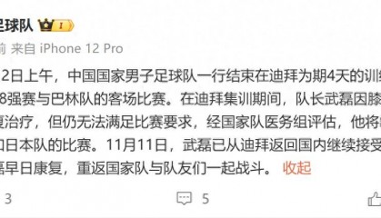官方:武磊因伤退出本期国家队,将缺席与日本和巴林的世预赛