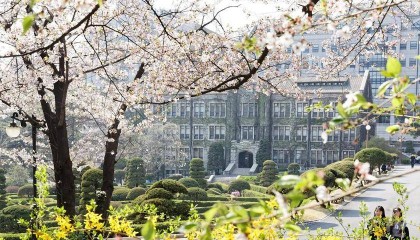 韩国大学怎么选课?