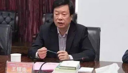 70岁王锡南,被查