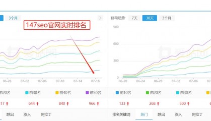 网站SEO快速排名优化