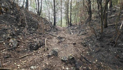 贵州一女子故意放火烧山被刑拘：心想救援队扑火后留下大量塑料瓶，可卖瓶子获利