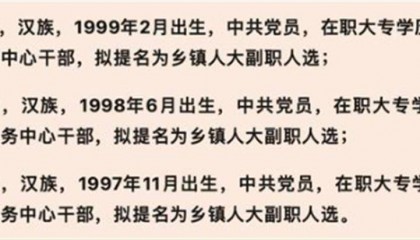 官方再回应“95后女干部提拔副科”,关键问题不能“选择性公开”