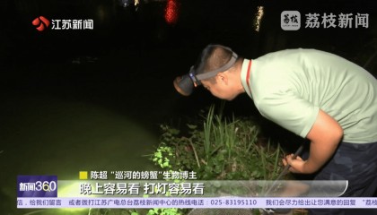 南京河流发现成群齐氏罗非鱼鱼苗！这种性情凶猛的热带鱼已扎根繁殖？