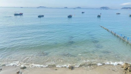 今天开始,四大生肖宝运当头,开门大吉,聚财聚福