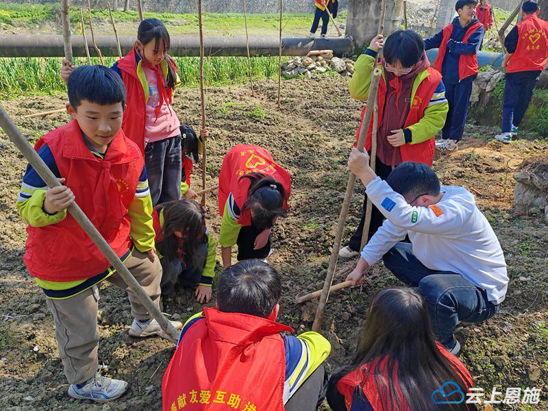 来凤县大河镇中小学开展“我与小树共成长·做新时代好少年”植树活动