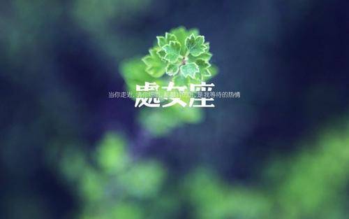 擅长理财的老黄历三星座，懂得合理支配财富