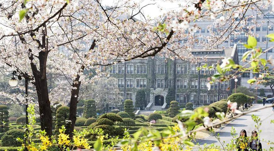 韩国大学怎么选课？