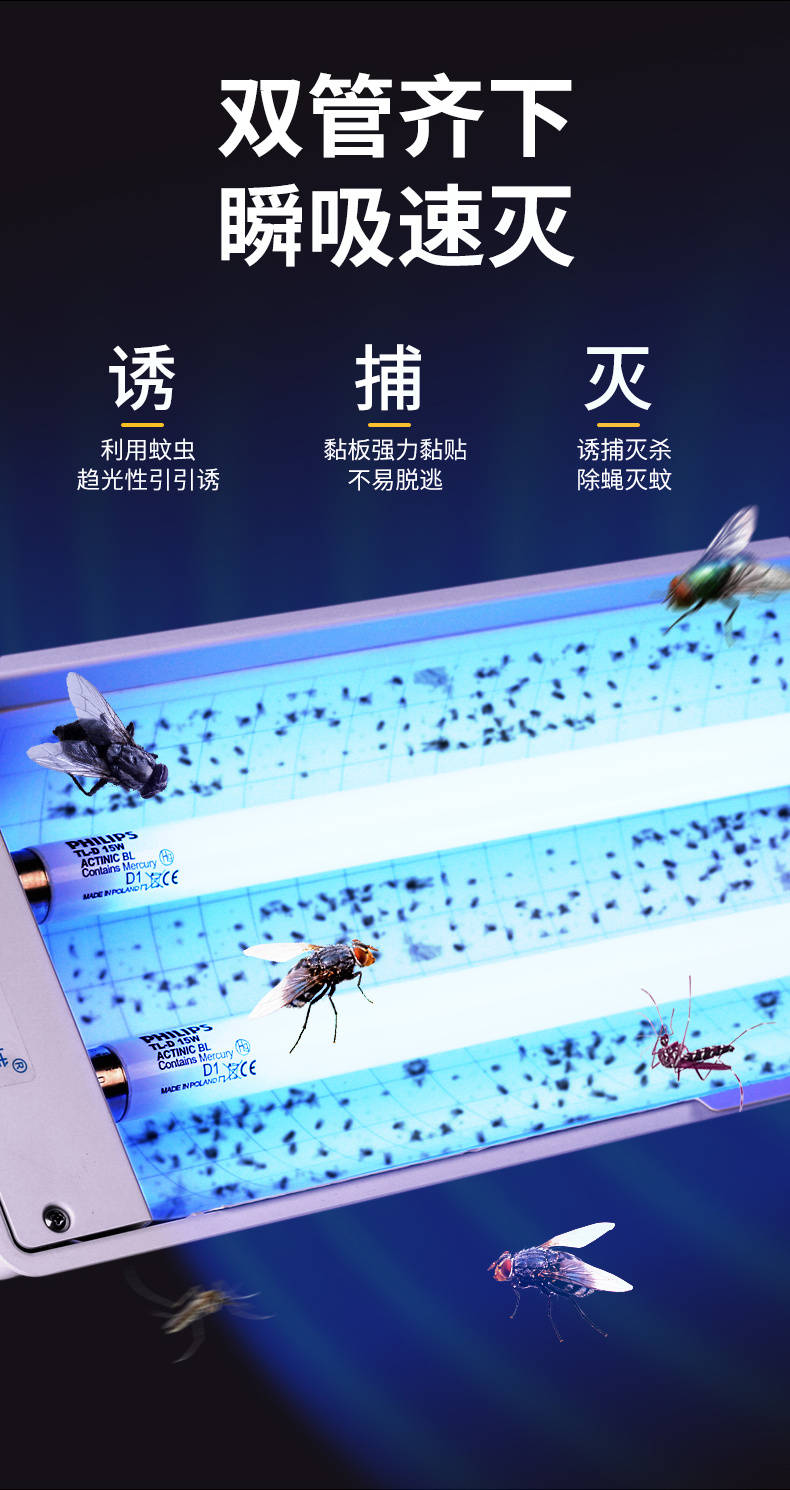大学灭鼠公司怎么选择-瑞克害虫防治