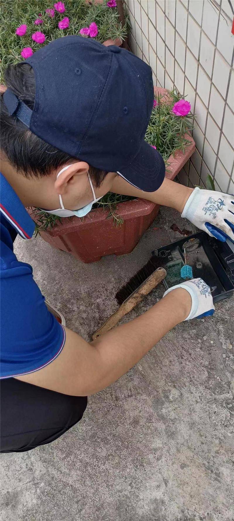 大学灭鼠公司怎么选择-瑞克害虫防治
