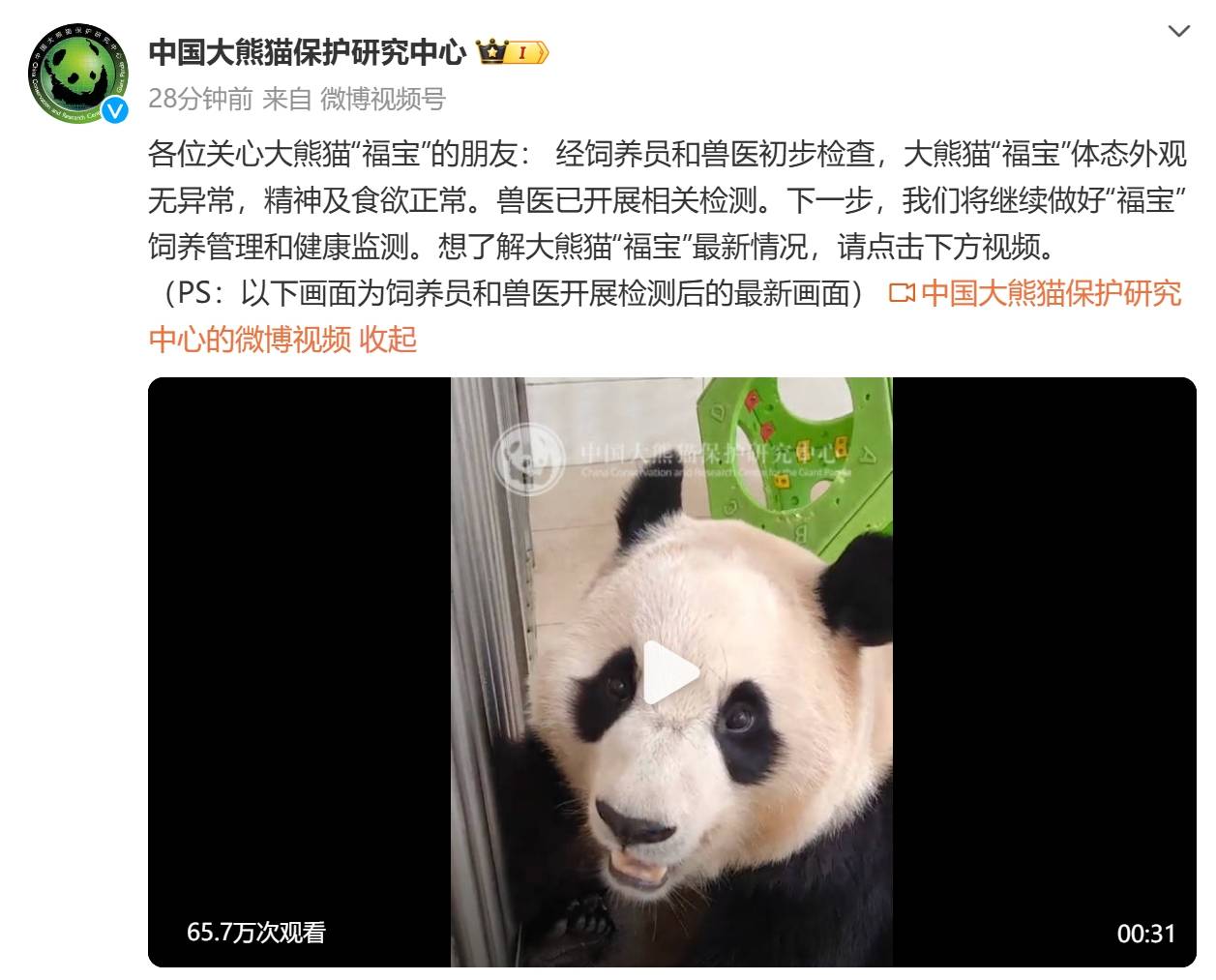 中国大熊猫保护研究中心：经初步检查，“福宝”体态外观无异常