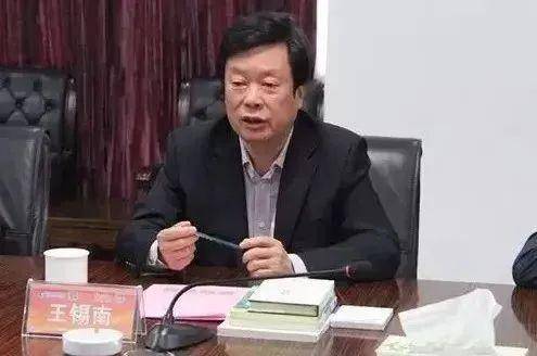 70岁王锡南，被查