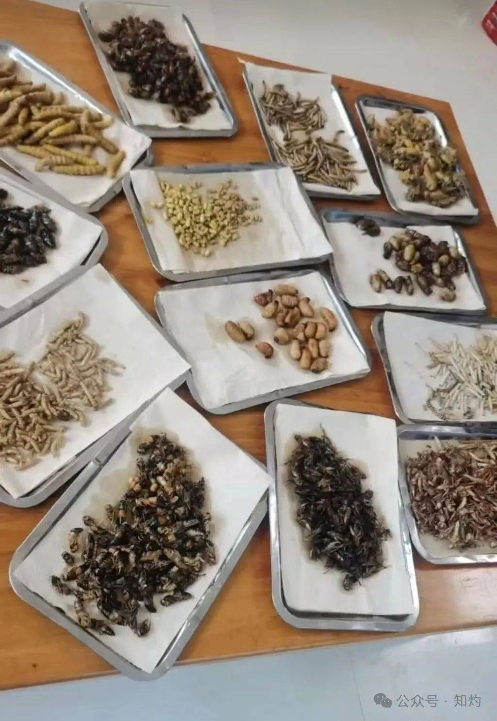 临沂小饭店老板抖音拍个菜，被罚45万：这波操作，谁看了不愤怒？