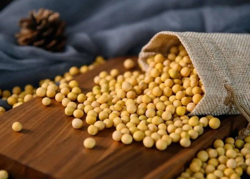 美国大豆惊人价格逆袭！竟比阿根廷便宜150元/吨，真相是什么？