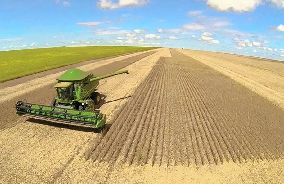 美国大豆惊人价格逆袭！竟比阿根廷便宜150元/吨，真相是什么？