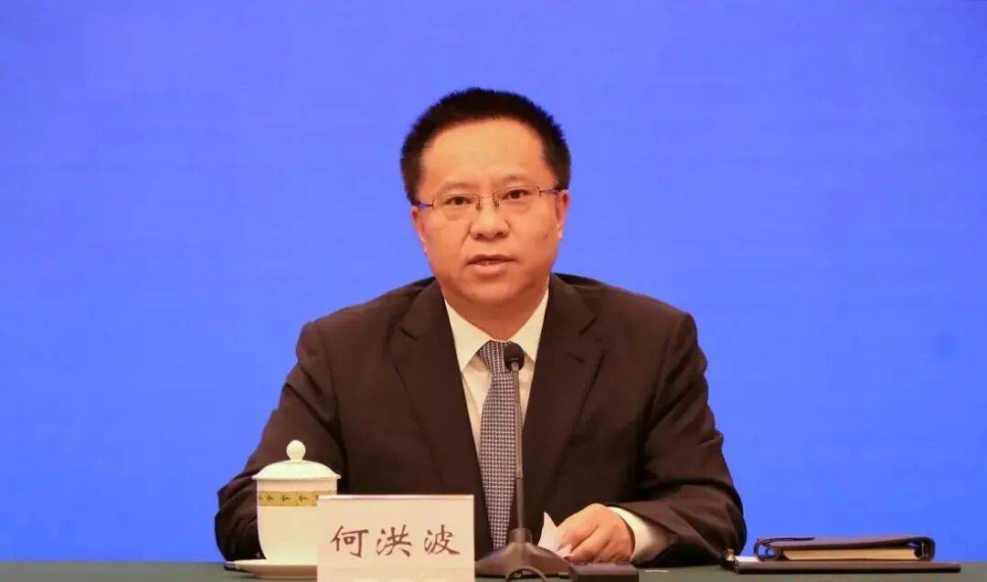 市委副书记何洪波，转岗副厅长3个月被查