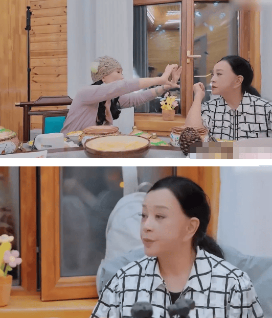 考古|何赛飞录节目把刘嘉玲刘晓庆等嘉宾得罪完，她是情商低还是真性情？